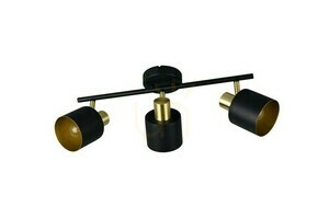 Plafon Trio EVA 868800380 small 2