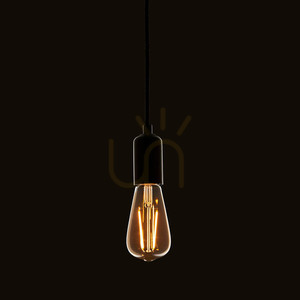 Żarówka LED filament E27 2W bursztynowa Endon szklana, kształt gruszki small 2