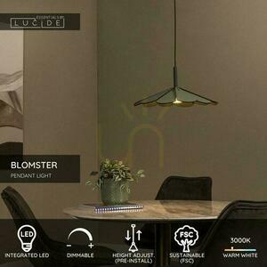 Lampa wisząca Lucide BLOMSTER zielona 47 cm LED 9W 77493/07/33 small 3