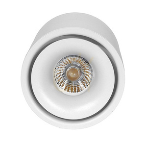 Ruchomy reflektor natynkowy LED Domeno EZ-CL06A-12 biały 12 W 4000 K small 4