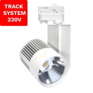 Reflektor szynowy track system dd-03 30w 4000k biały 3 fazowy 230v 1 Reflektor szynowy track system dd-03 30w 4000k biały 3 fazowy 230v small 1
