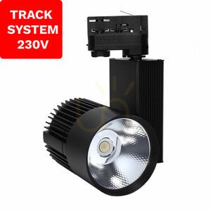 Reflektor szynowy Track System DD-03, 30 W, 4000 K, czarny, 3-fazowy, 230 V small 1