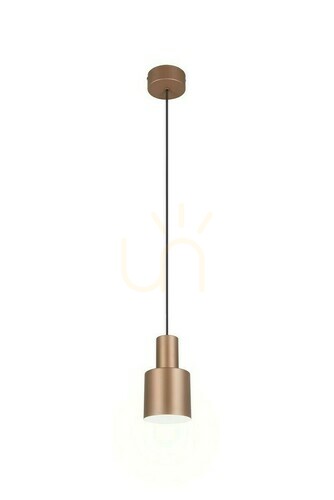 Sprawdź Lampa Wisząca Trio ELIOR DL165319400