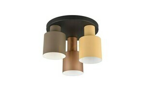 Plafon Trio ELIOR DL317619430 small 2
