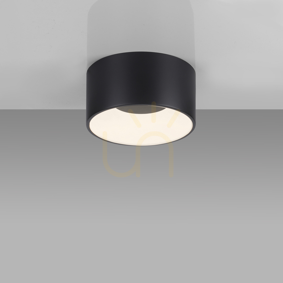 Sprawdź Plafon TANIKA 14325-18 Czarny 1xLED Plafon TANIKA 14325-18 Czarny 1xLED