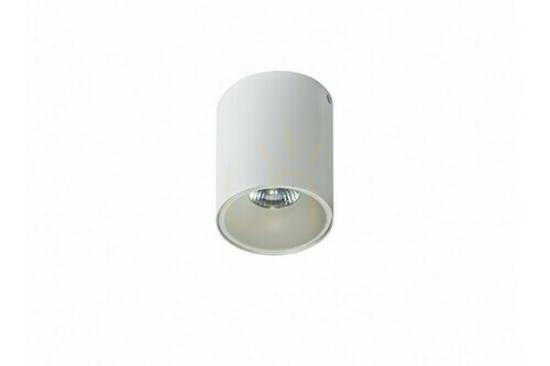 Sprawdź Downlight Azzardo REMO 1 PLAFON Biały