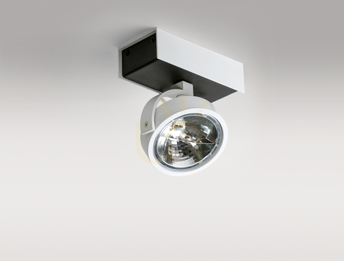 Sprawdź Downlight Azzardo MAX 1 12V Biały