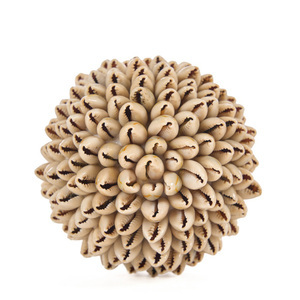 Kula dekoracyjna Oluolu Shell Ball S 9 cm small 5