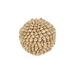 Kula dekoracyjna Oluolu Shell Ball M 11 cm small 3