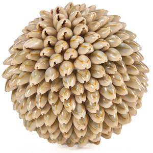 Kula dekoracyjna Oluolu Shell Ball M 11 cm small 6