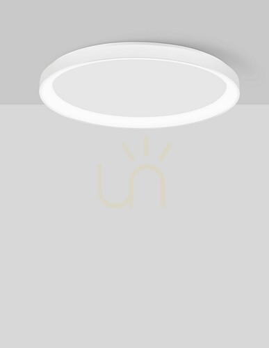 Sprawdź Plafon ROTA Luces Exclusivas LE43525