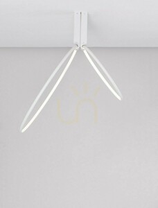 Plafon ABUYA Luces Exclusivas LE43578 small 1