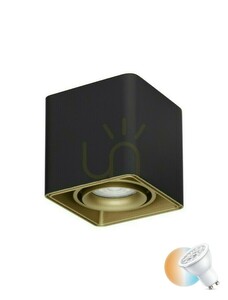 Czarny spot sufitowy Luces Exclusivas ACATIPA LE61637 GU10 10 W small 0