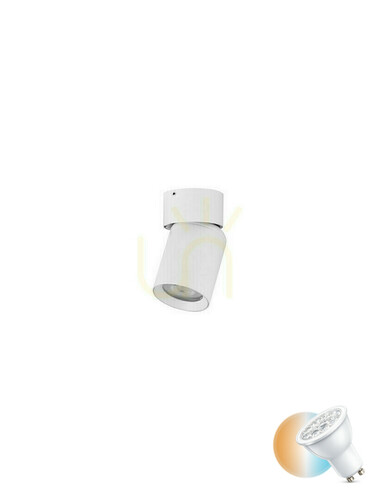 Sprawdź Lampa Nowoczesna GALVEZ Luces Exclusivas LE44406
