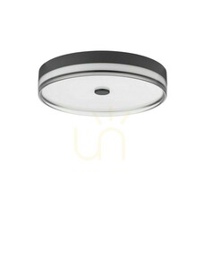 Plafon FELANI Luces Exclusivas LE46038 small 0