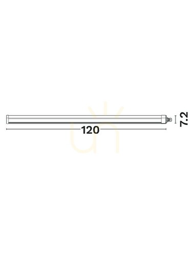 Sprawdź Plafon FRAGA Luces Exclusivas LE62481