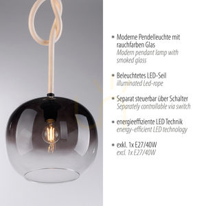 Lampa wisząca LUMA 2410-18 z podświetlaną liną LED, czarna, E27 small 3
