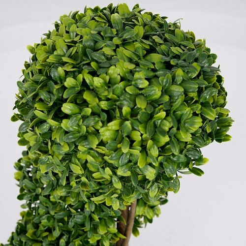 Sprawdź Roślina Doniczkowa Bukszpan 5256 50 Cm