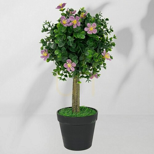 Sprawdź Roślina Doniczkowa Drzewko Bukszpanowe 5514 40 Cm