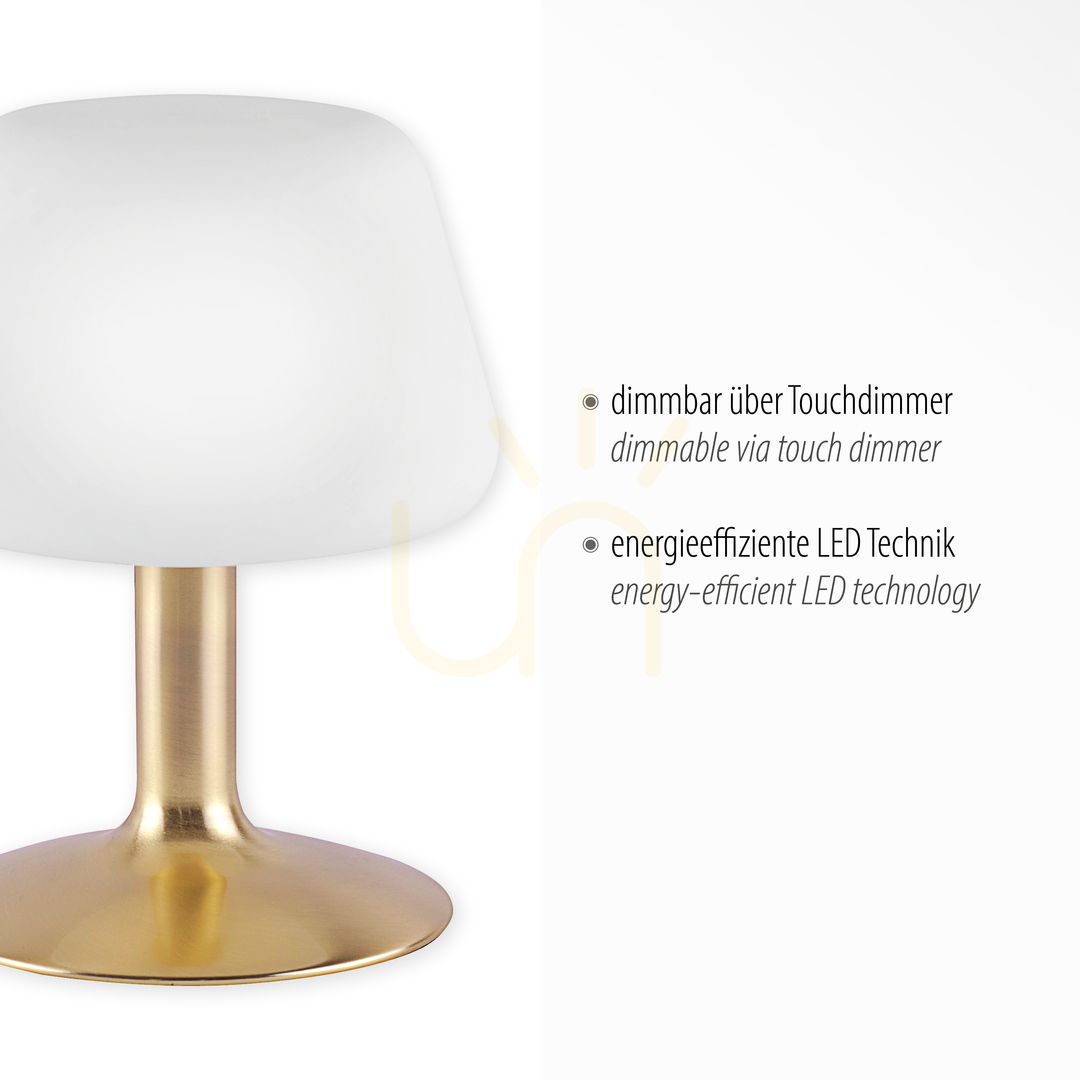 Wyświetl Lampa Stołowa TILL 4078-60 Mosiądz 1xG9 Lampa Stołowa TILL 4078-60 Mosiądz 1xG9