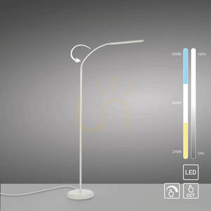 Lampa podłogowa LED Paul Neuhaus / JUST LIGHT Elly 11031-16 small 11
