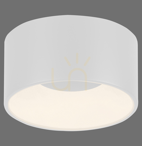 Sprawdź Plafon LED Zuma Line Tanika 14325-16 biały 14 W, 16 cm