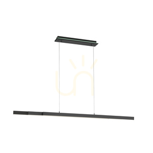 Lampa wisząca LED Paul Neuhaus Q-ARIAN 2569-13, antracyt, CCT RGB small 6