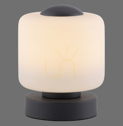 Sprawdź Lampa Stołowa BOTA 4037-13 Antracyt 1xLED
