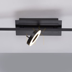 Lampa sufitowa SILEDA 6785-13 antracytowa 3xLED Paul Neuhaus small 8
