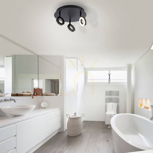Sprawdź Plafon Paul Neuhaus SILEDA 6788-13 antracyt LED 3000 K IP44