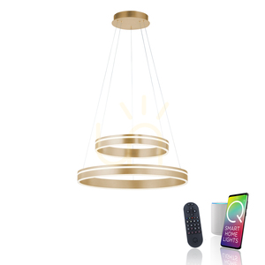 Lampa wisząca LED Paul Neuhaus Q-VITO 8420-60, matowy mosiądz, 59 cm small 1