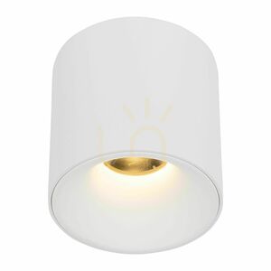 Blaze White Cct 18 W small 5