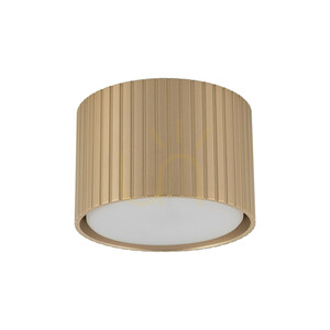 Ferro Champagne Downlight+ Gx53 small 0