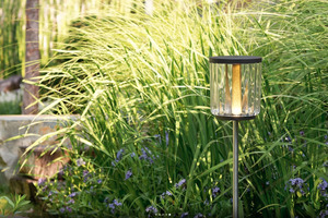 Lampa ogrodowa wbijana BEGA 85 537 K27 2700K 50cm – do oświetlenia rabat i łąk kwietnych small 1