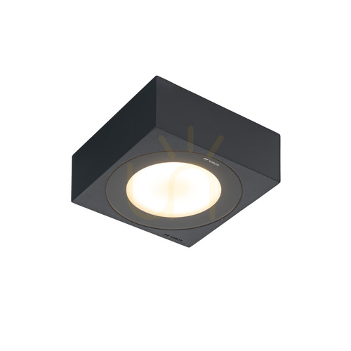 Sprawdź Plafon zewnętrzny Hitra 2460GR szary LED NORLYS