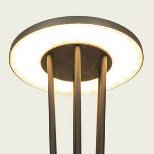 Lampa zewnętrzna LED na słupie, 15,5 W, 3000 K, grafitowe aluminium, IP65, ZAMBELIS small 2