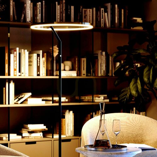 Sprawdź Lampa stojąca LED s.luce Ring złota Ø60 cm z ściemniaczem dotykowym