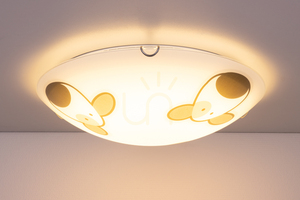 Lampa Sufitowa Doggy 2xE27 Max60W Chrom Metal/Biały Szklany Klosz z Wzorem w Pieska Ø40 cm small 3
