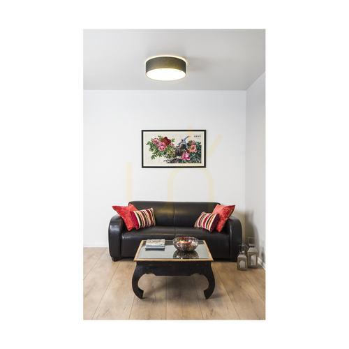 Sprawdź Plafon LED Spot Light Josefina 4783802 antracyt/biały Ø38 cm 18 W 2700 K