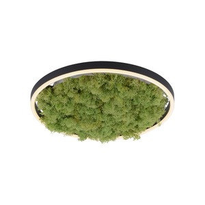 Plafon GREEN RITUS 15391-66 Beżowy 1xLED small 16