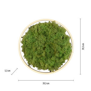Plafon GREEN RITUS 15391-66 Beżowy 1xLED small 7