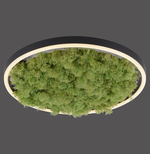 Sprawdź Plafon GREEN RITUS 15391-66 Beżowy 1xLED