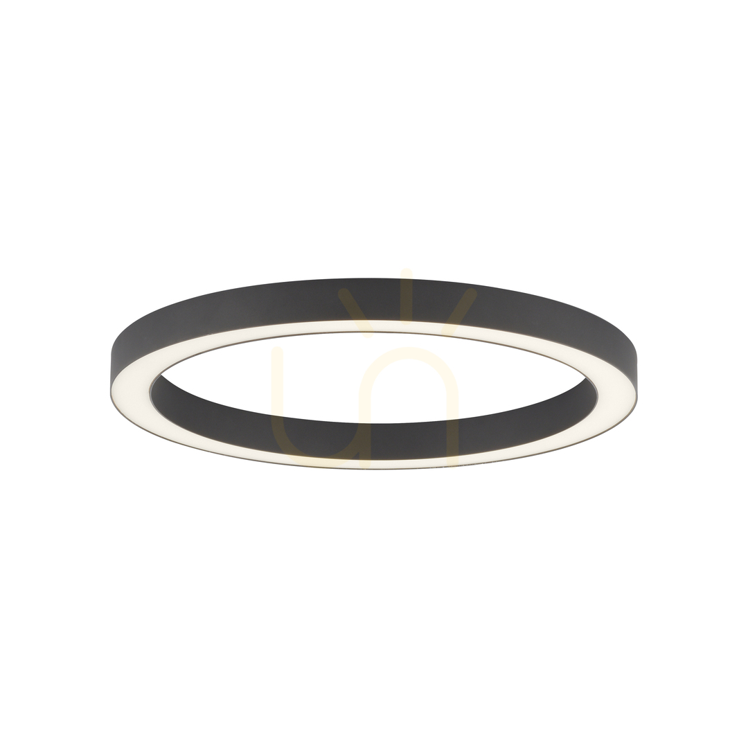 Sprawdź Plafon PURE-LINES 6309-13 Antracyt 1xLED Plafon PURE-LINES 6309-13 Antracyt 1xLED