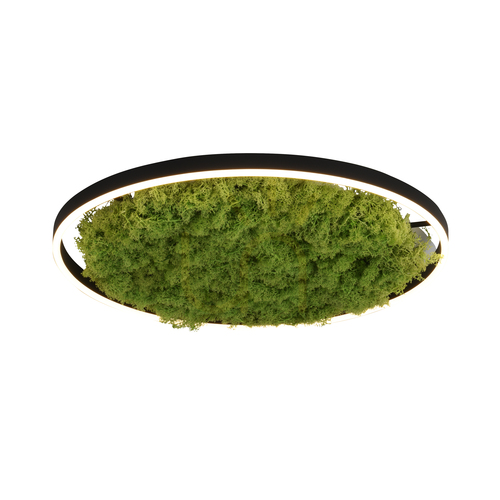 Sprawdź Plafon GREEN RITUS 15392-66 Beżowy 1xLED