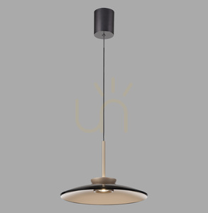 Lampa Wisząca PURE E-MOON 2195-97 Brązowy 2xLED small 18