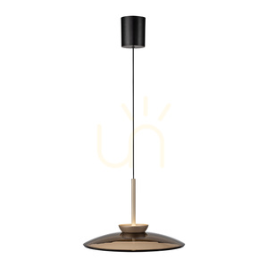 Lampa Wisząca PURE E-MOON 2195-97 Brązowy 2xLED small 7