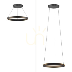 Lampa Wisząca PURE E-LOOP 2551-18 Czarny 2xLED small 11