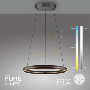 Lampa Wisząca PURE E-LOOP 2551-18 Czarny 2xLED small 12