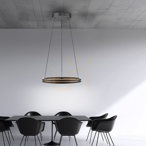 Lampa Wisząca PURE E-LOOP 2551-18 Czarny 2xLED small 14