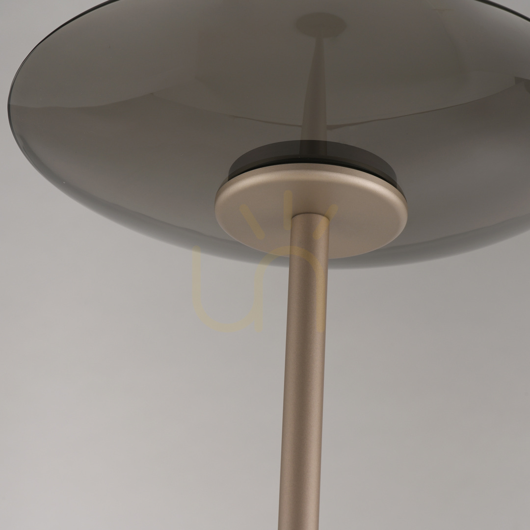 Pokaż Lampa Podłogowa PURE MOON 594-97 Brązowy 2xLED Lampa Podłogowa PURE MOON 594-97 Brązowy 2xLED